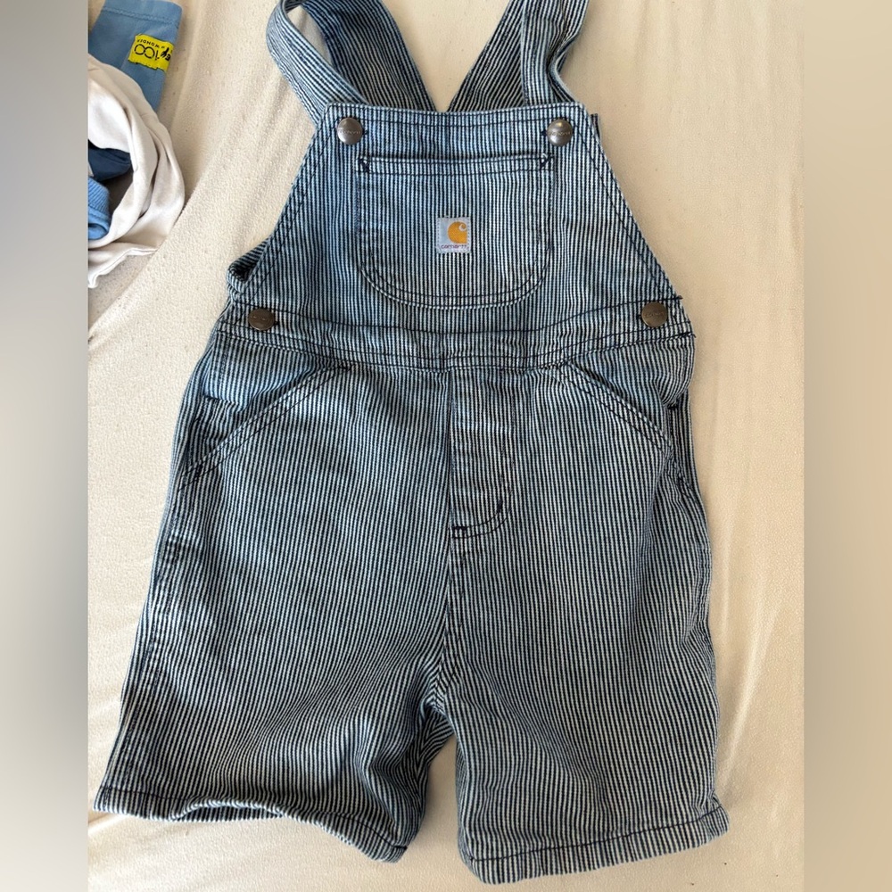 Carhartt striped overalls